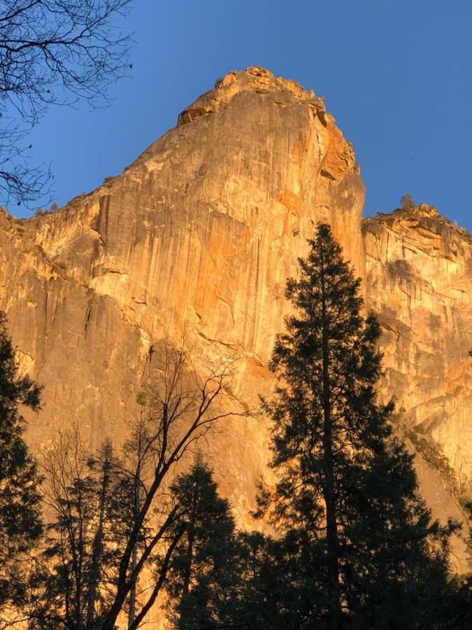 Bear Paw Cabin New Construction Near Yosemite Mariposa Exterior photo